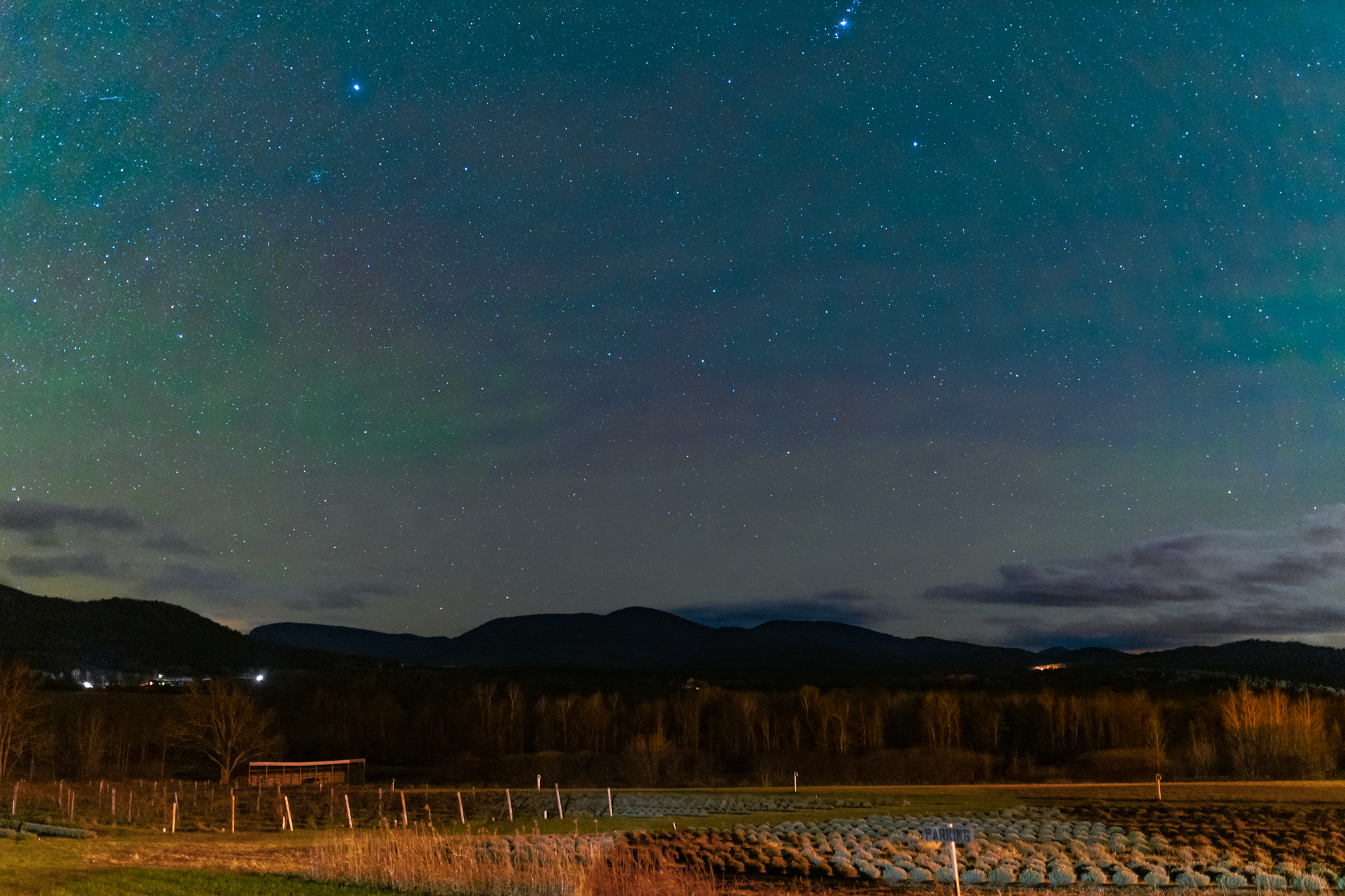 Stars above lavender fields in the Adirondacks